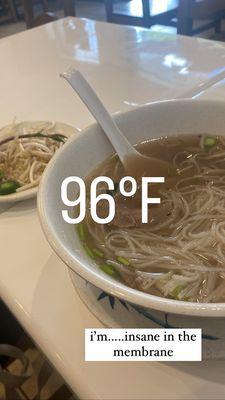 the instagram grab!  best beef brisket pho!