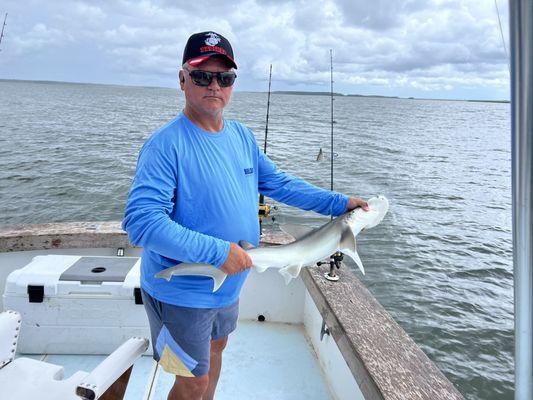 Bonnethead Shark