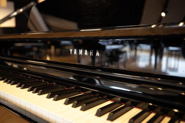 Exclusive Yamaha Piano Dealer