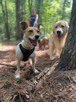 Two Chicks and a Pack