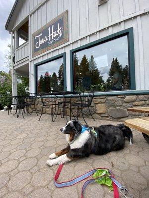 My dog should pose while waiting in front of the coffee shop