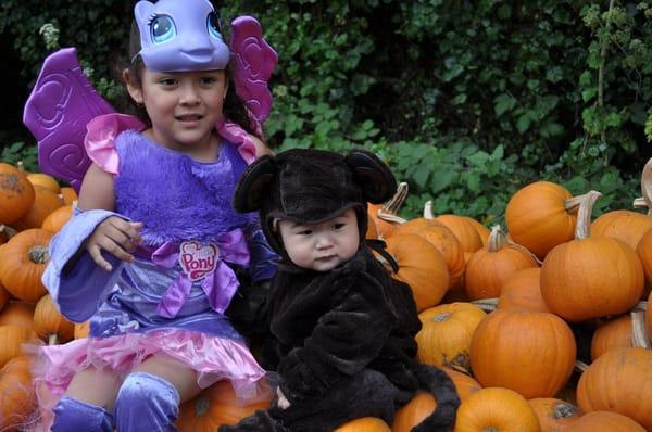 my lil pony and monkey on a pumpkin pile hella P's