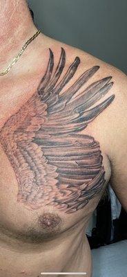 Vulture wing