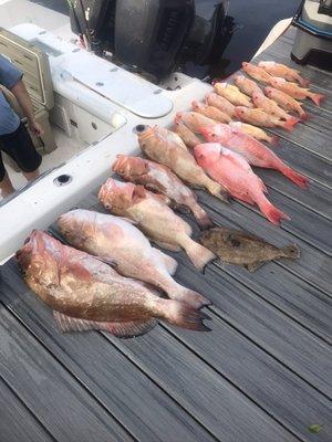 ARS, Red grouper, lane snapper, flounder