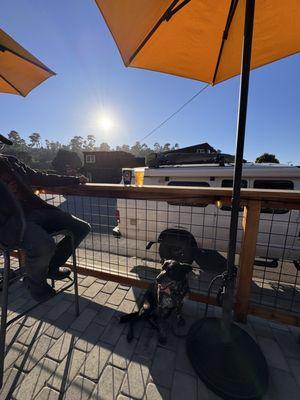 Dog friendly. Beer. Surf.