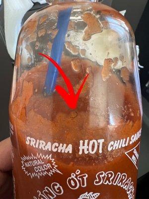 Hair in Sriracha Sauce Bottle