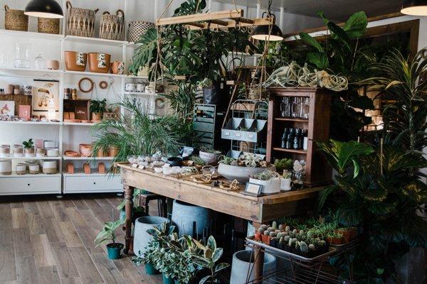 All your indoor plant needs, plant inspired goods, gifts and much more!