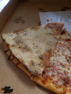 Cheese cardboard pizza :(