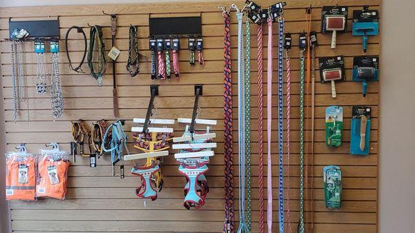 Leashes and harness for sale