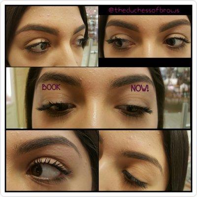 The Duchess of Brows Studio