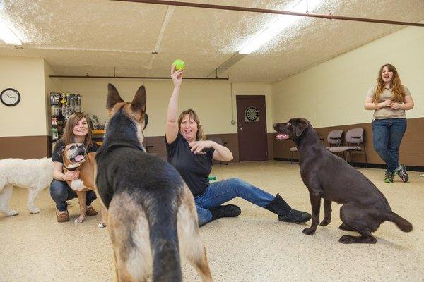 Blaine Kennels Boarding, Training & Daycare in Blaine MN, Blaine Kennels provides your pet a home away from home while you ar...