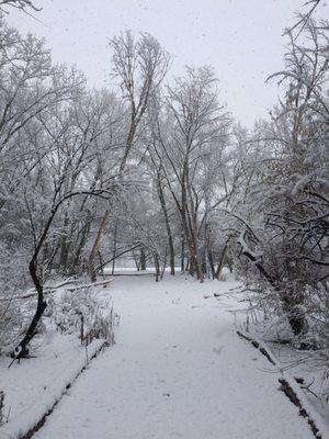 Look from Tee Pad #2.  Let it SNOW!