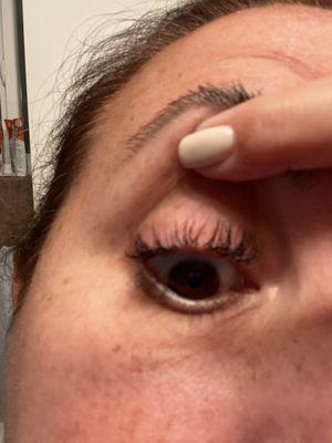 Lost my own lashes.  Terrible.  My appt was at noon and this is at 10 pm.