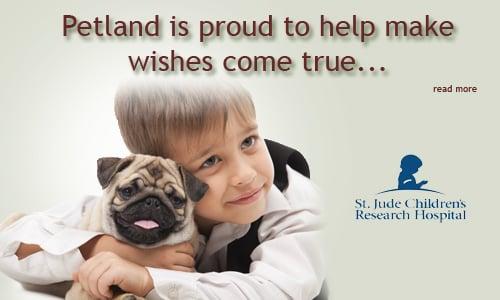 Petland is proud to help make wishes come true. Visit our pet store in Orlando and find out how we make a difference.