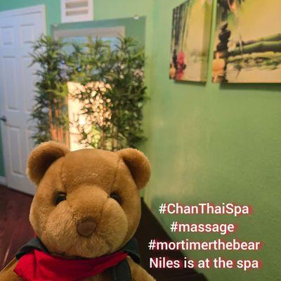 Niles is at the spa with Mommy and Daddy! They're here to see Sandy and A.A. for massages! #ChanThaiSpa #massage #mortimerthebear