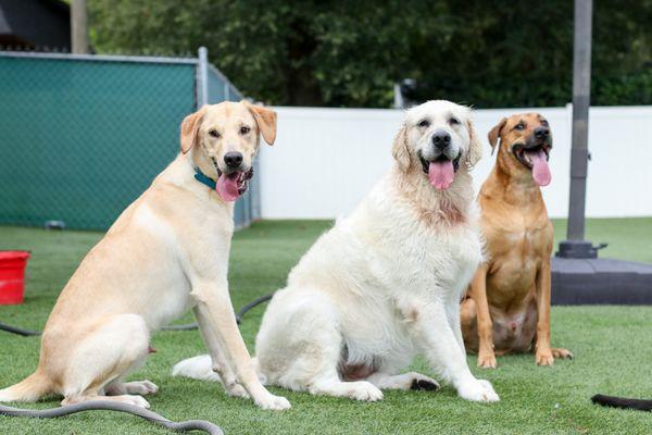 Best friends at daycare!