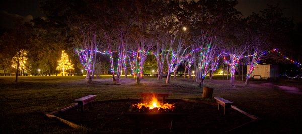 Magical Holiday Lighting at WinterGreen Night Lights