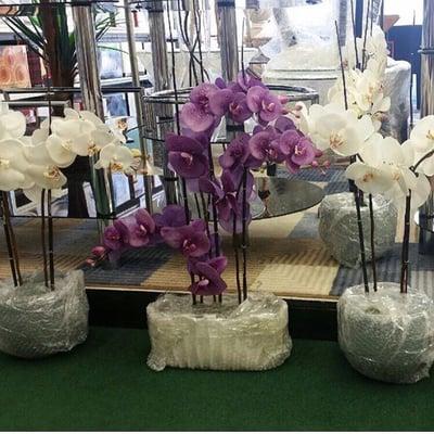 Flower arrangements