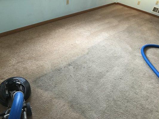 The best carpet cleaner in Boulder!