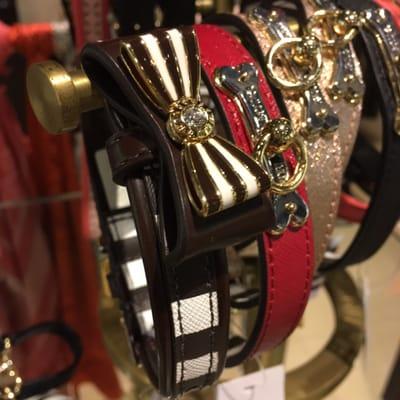 dog collars