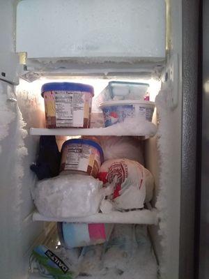 Freezer freezing All things. Isn't This it's correct desirable function? Corbin's Expert work.