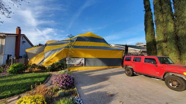 House tented.