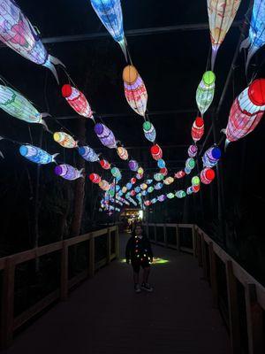 Fish lanterns