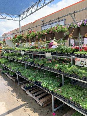 Great hanging baskets!