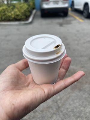 Cute little shot of Cuban coffee $2.75