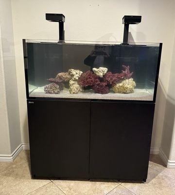 Aquatica Corals & Custom Aquariums