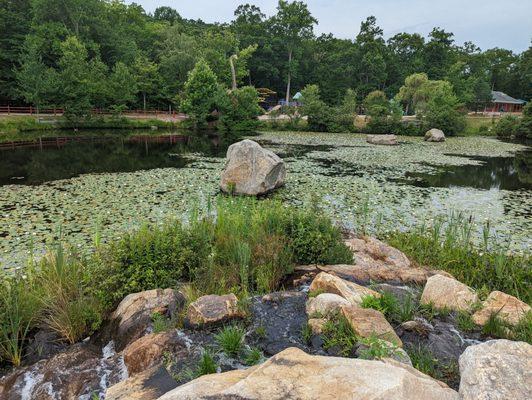 Large pond in the center of trails