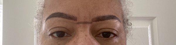 Uneven brows with 2 different styles!