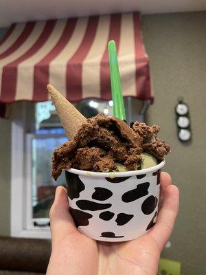 Mocha chocolate chip and pistachio gelato