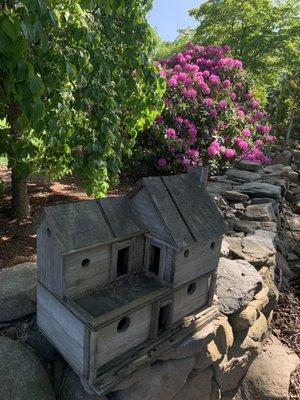 Discovery in the nursery garden