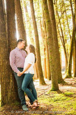 Engagement Session in Cook Forest