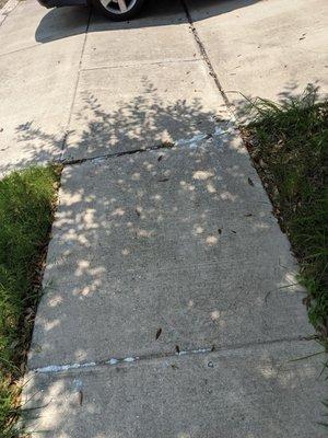 waste collected on sidewalk towards neighbors house.