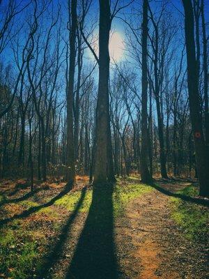 You gotta love a sunny Fall run!