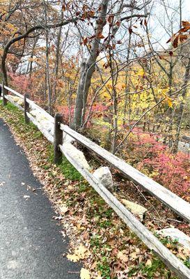 Dusty Pink (On The New & Improved Pathway Heading South On The Pkwy)