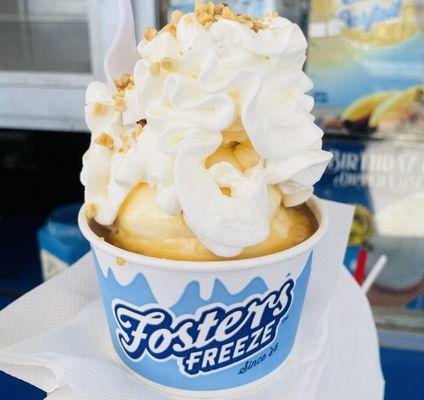 Fosters Freeze