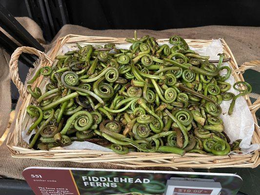 Fiddleheads been looking for this everywhere