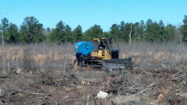 Planting improved coastal loblolly trees in Clarendon County, SC