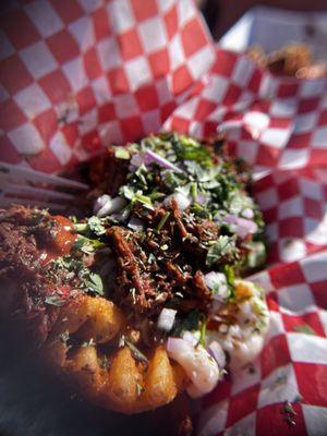 Birria Beef Fries