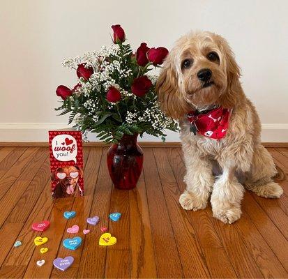 They even put on a cute bandana for Valentine's Day!