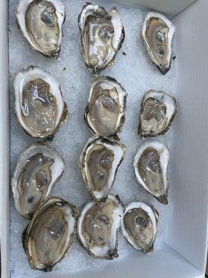 Ducksberry oysters. Go to the fish market and get them to go to enjoy at home. Thank you Captain Mardens!