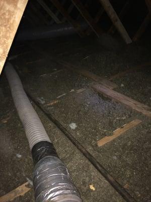 Soiled insulation prior to extraction during attic restoration.