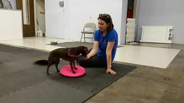 Trainer Ally doing confidence building with private client Olive.