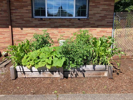 Community garden