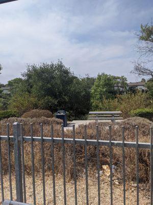 Mission Valley Trolley Center, view of San Diego River