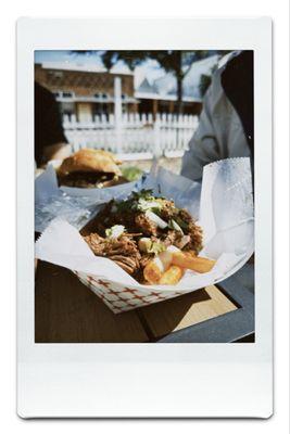 Birria fries