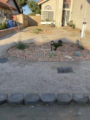 Drought tolerant landscape